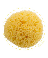 Bellini - Eponge naturelle Honeycomb