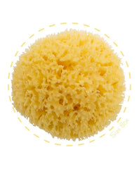 Bellini - Eponge naturelle Honeycomb