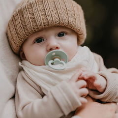 Lot de 2 Sucettes Nordic mint forest lake - Bibs