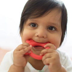 Dr. Brown's Anneau de dentition Flexees Friends Renard rouge 3 Mois+