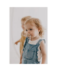 Lot de 2 Sucettes Blush et Ivoire - Bibs