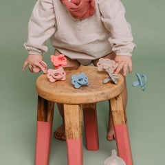 Suavinex - Sucette Silicone avec Tétine Symétrique SX Pro, Réversible 0-6 mois Ballad Blue